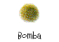 Bomba